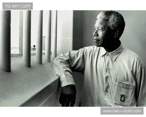 曼德拉戈拉的成熟担当之路启程