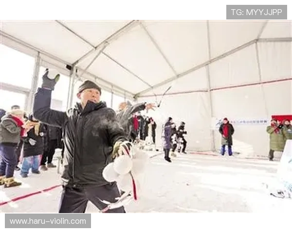 球迷掷雪球致罗斯托克或被罚款